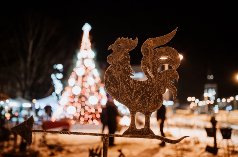 19.12.2021. ZIEMASSVĒTKU TIRDZIŅŠ14