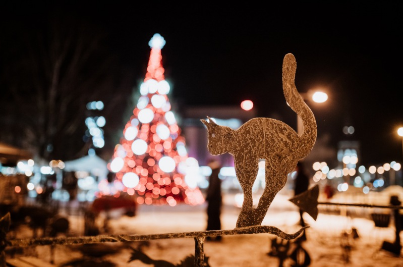 19.12.2021. ZIEMASSVĒTKU TIRDZIŅŠ15